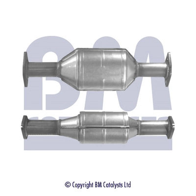 Catalyseur BM CATALYSTS BM91028H