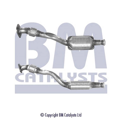 Catalyseur BM CATALYSTS BM80119H