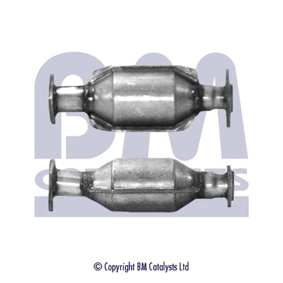 Catalyseur BM CATALYSTS BM80010H