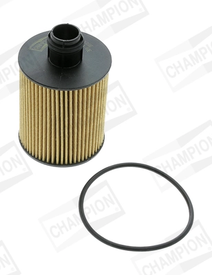 CHAMPION COF100600E