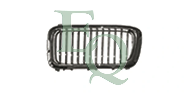 Radiator Grille