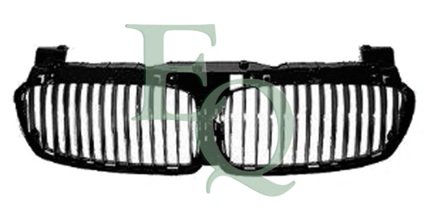 Radiator Grille