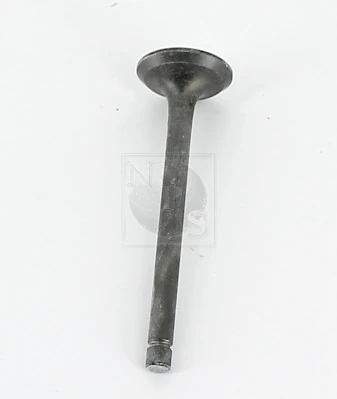 Exhaust Valve