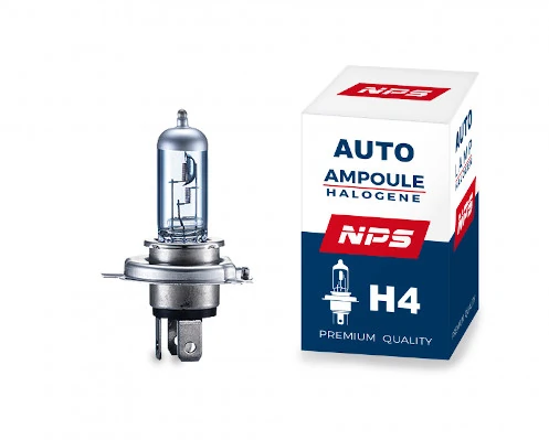Bulb, front fog light