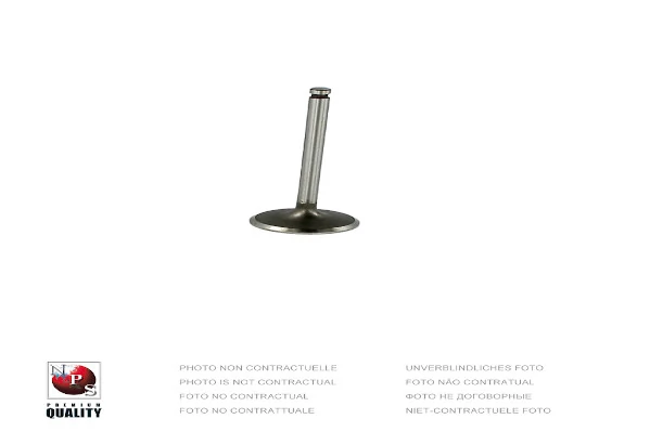 Intake Valve