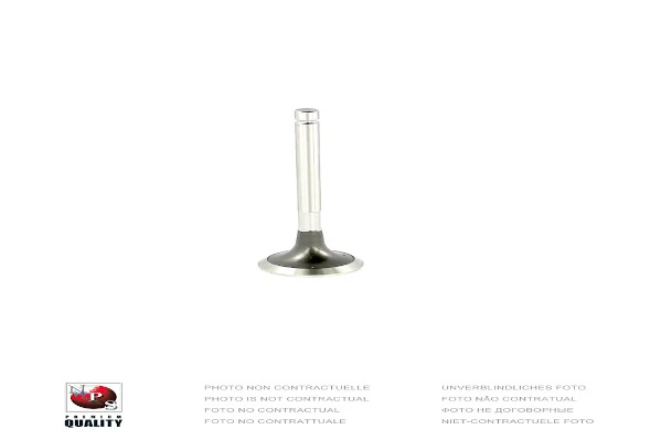 Exhaust Valve