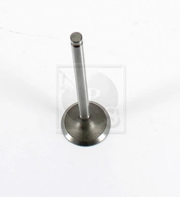 Intake Valve