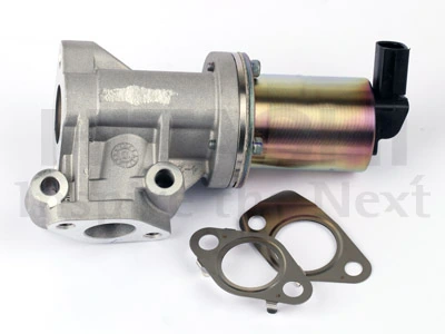 Vanne EGR HITACHI 2508494