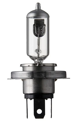 Bulb, spotlight