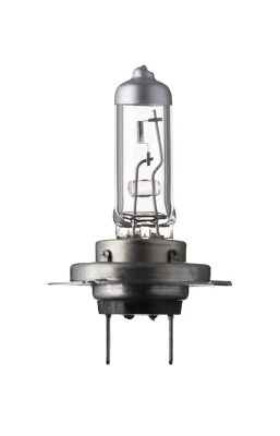 Bulb, front fog light