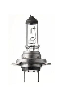Bulb, front fog light