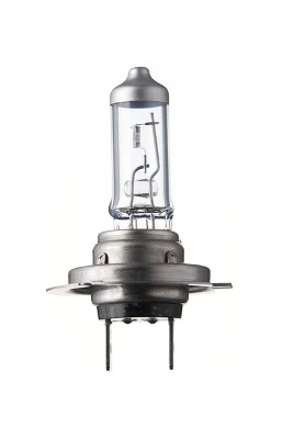 Bulb, front fog light