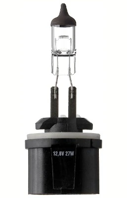 Bulb, front fog light
