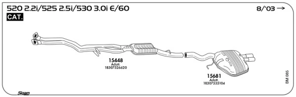 Exhaust System