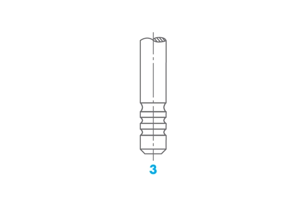 Intake Valve