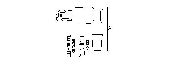 Plug, coil