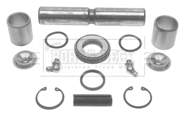 Repair Kit, kingpin