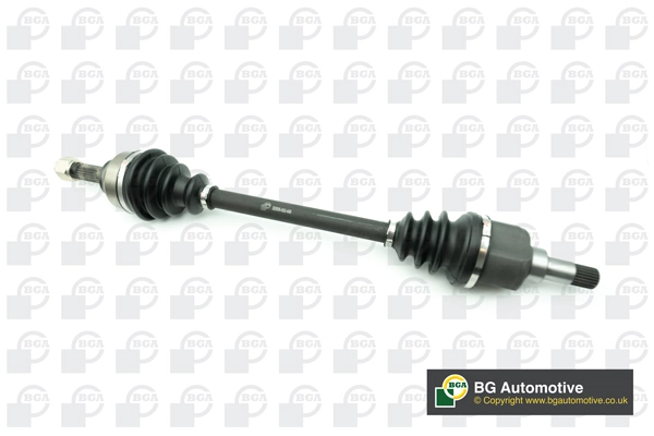 BGA DS1420L — Піввісь