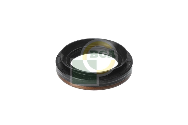 Shaft Seal, differential
