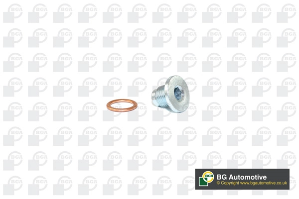 BGA PK1406 — Пробка піддона картера