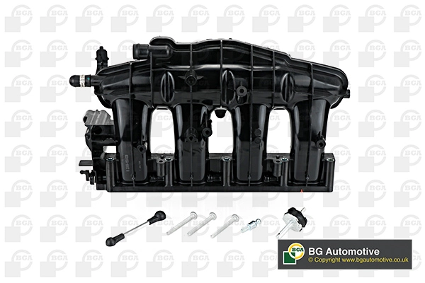 BGA MG01022