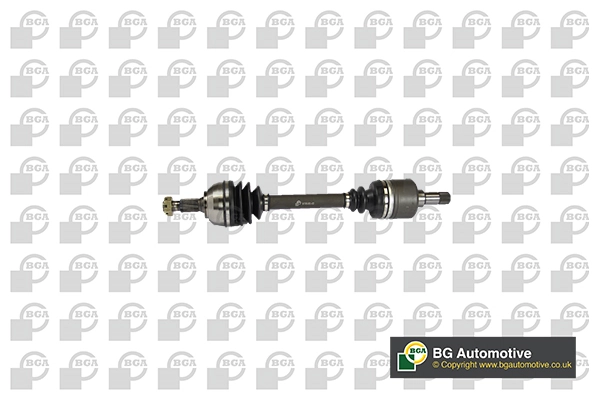 BGA DS1401L — Піввісь