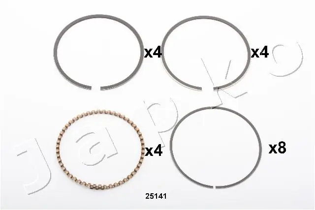 Piston Ring
