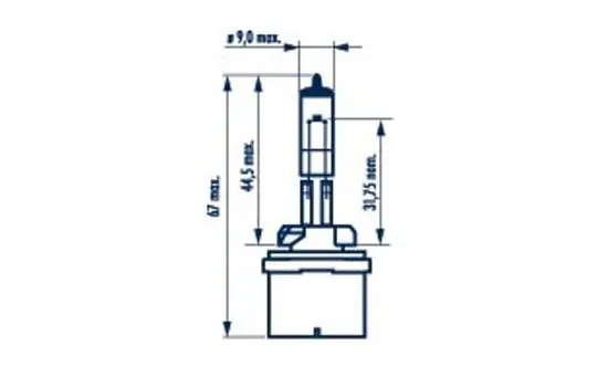 Bulb, front fog light