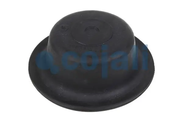 Diaphragme, cylindre à ressort COJALI 6001104