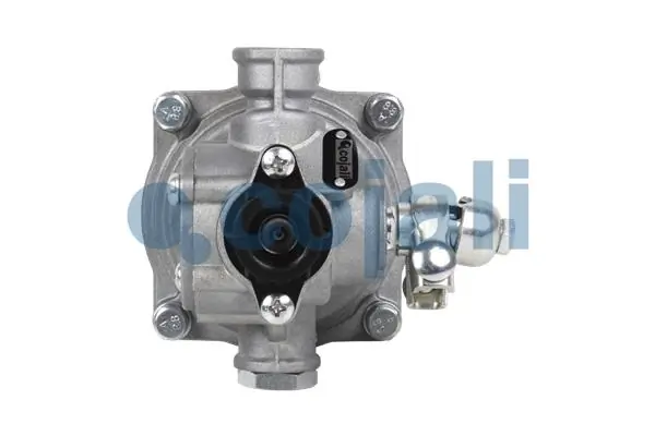 Relais, ALB COJALI 2220307