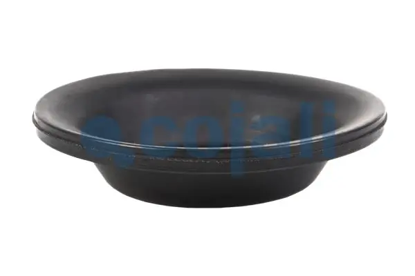 Diaphragme, cylindre à ressort COJALI 6001100