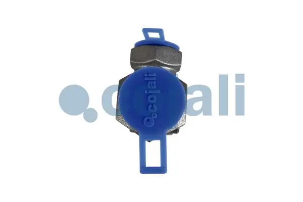 Valve à plusieurs voies COJALI 2207107