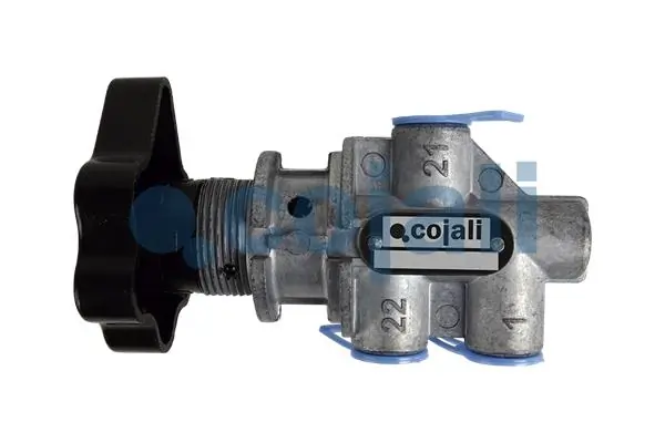Valve à plusieurs voies COJALI 2215218