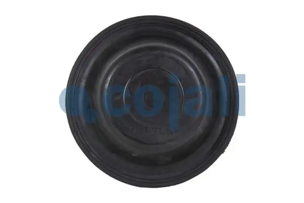 Diaphragme, cylindre à ressort COJALI 6001101