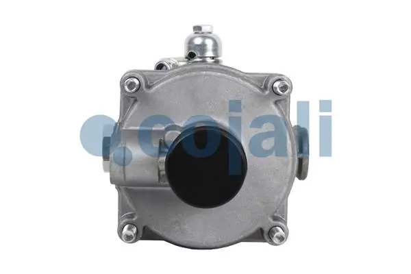 Relais, ALB COJALI 2220346