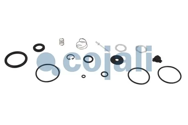 Kit de réparation, dessicateur COJALI 6012229