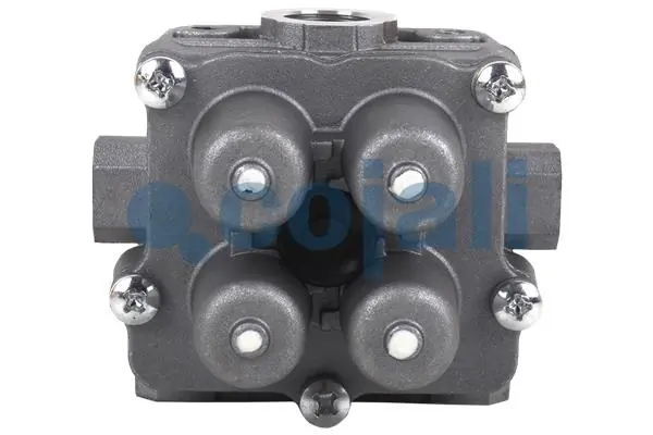 Valve de sécurité pour plusieurs circuits COJALI 2222424