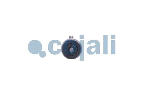 Пневматичний робочий циліндр COJALI (2801001)