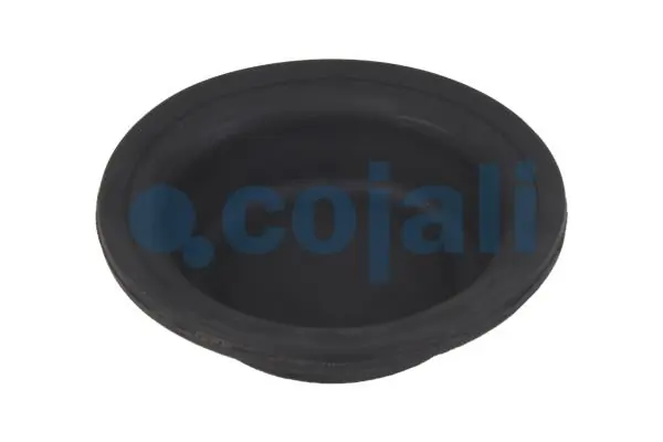 Diaphragme, cylindre à ressort COJALI 6001105