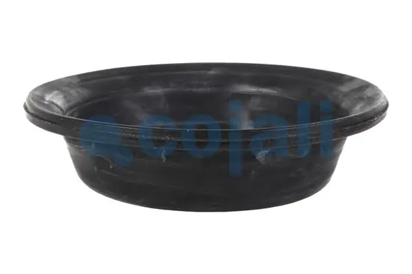 Diaphragme, cylindre à ressort COJALI 6001111