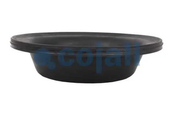 Diaphragme, cylindre à ressort COJALI 6001106