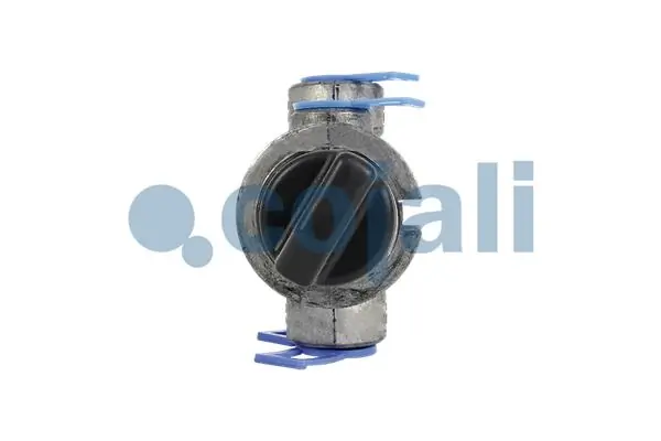 Valve à plusieurs voies COJALI 2215215