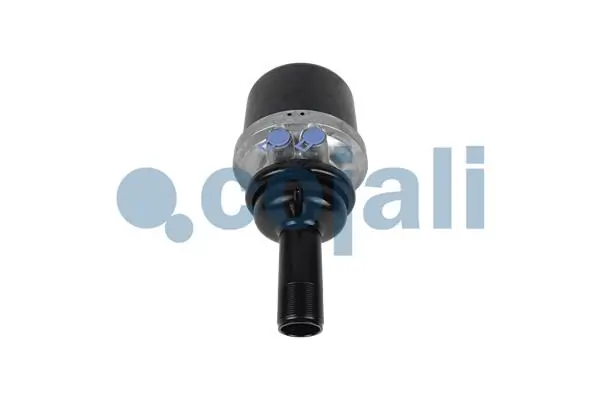 Cylindre de frein à ressort COJALI 2351425