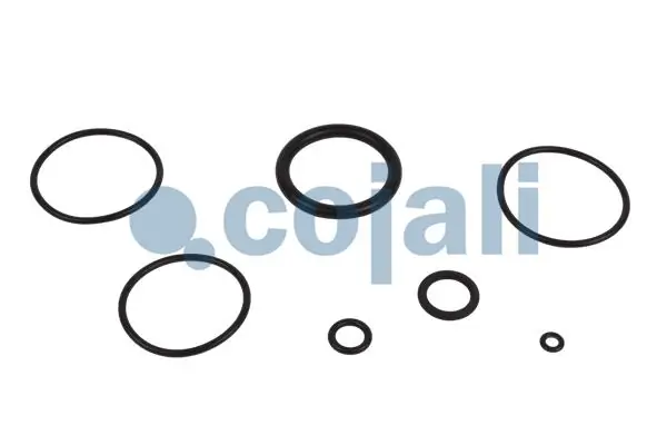 Kit de réparation, dessicateur COJALI 6012229