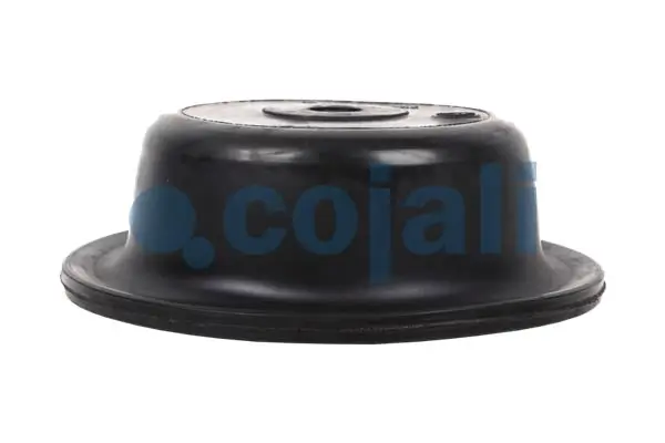 Diaphragme, cylindre à ressort COJALI 6001109