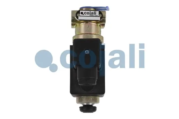 Valve magnétique COJALI 2218217