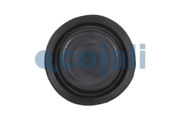 Diaphragme, cylindre à ressort COJALI 6001110