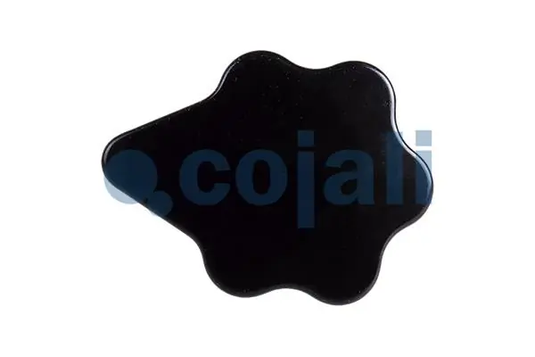 Valve à plusieurs voies COJALI 2215218