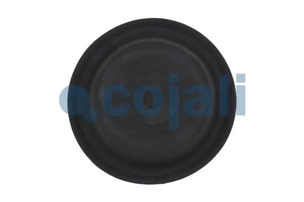 Diaphragme, cylindre à ressort COJALI 6001105