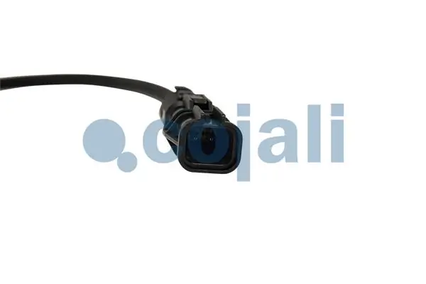 Pommeau COJALI 2880267